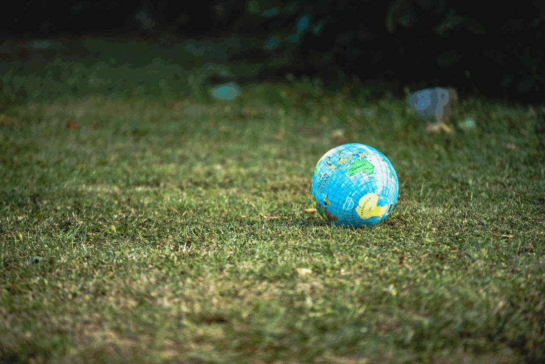 A globe laying on grass