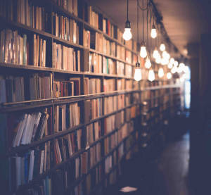 Thumbnail of book shelf with decorative light bulbs in front