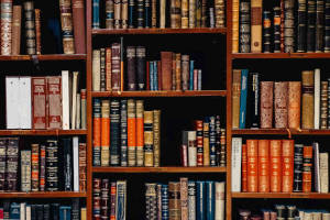 Thumbnail of closeup picture of books in shelf